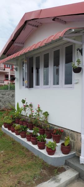 Casa Niara : Cozy 70 yr old 3 BR cottage with modern amenities.